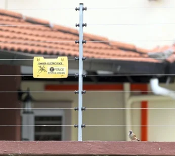 Electric Fence Kenya